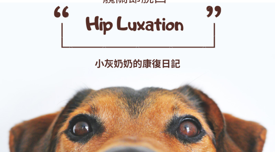 怎麼突然掰咖? 一碰就痛好可怕? 是骨折了嗎?